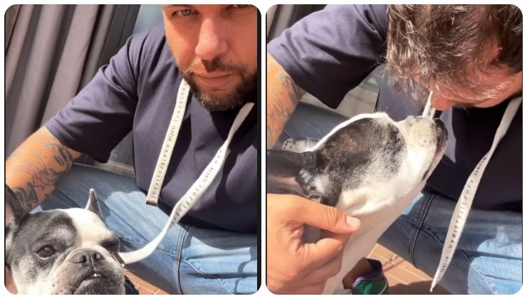 Alessandro Vicinanza coccole con il cane